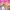 https://res.cloudinary.com/billionhands/image/upload/v1775025204/items/has4fwnu0e5erulxaiui.jpg-3cover