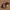https://res.cloudinary.com/billionhands/image/upload/v1775025712/items/i85bsesl2fsfaz2bveuh.jpg-1cover