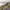 https://res.cloudinary.com/billionhands/image/upload/v1775025868/items/nvprzqqpytthnityh9zr.jpg-2cover
