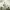 https://res.cloudinary.com/billionhands/image/upload/v1775026022/items/n1dog4einovfo3i6unx7.jpg-0cover