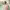 https://res.cloudinary.com/billionhands/image/upload/v1775026060/items/y7myxklzrpwota5nkyda.jpg-3cover