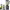 nutribullet Full-Size Blender Combo 1200W cover