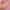 https://res.cloudinary.com/billionhands/image/upload/v1775026456/items/etmdl4vyqskxzejz6rzo.png-1cover