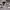 https://res.cloudinary.com/billionhands/image/upload/v1775026587/items/m6w1uatewwqwinklg7ys.jpg-1cover