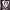 https://res.cloudinary.com/billionhands/image/upload/v1775026594/items/pyaa0lryfplgwtopd00l.jpg-3cover