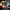 https://res.cloudinary.com/billionhands/image/upload/v1775026631/items/bhpou03ayskins8nrvut.webp-0cover