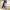 https://res.cloudinary.com/billionhands/image/upload/v1775027695/items/qywvhqsjjmjaultftzdn.jpg-0cover