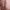 https://res.cloudinary.com/billionhands/image/upload/v1775027697/items/mdffxgpkaofrqptgibuy.webp-1cover