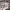 https://res.cloudinary.com/billionhands/image/upload/v1775028019/items/vryf3epfppcz2eowhpbd.jpg-2cover
