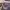 https://res.cloudinary.com/billionhands/image/upload/v1775028484/items/y56eyddcdogntx0ef8x5.jpg-3cover