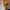 https://res.cloudinary.com/billionhands/image/upload/v1775028691/items/mgx76acnx5exyyqgfooj.jpg-2cover
