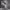 https://res.cloudinary.com/billionhands/image/upload/v1775028929/items/t4bac7wnlozyllgvusde.jpg-1cover