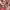 https://res.cloudinary.com/billionhands/image/upload/v1775028962/items/omwkwnwgfmrnb1mdbmjl.jpg-3cover
