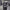 https://res.cloudinary.com/billionhands/image/upload/v1775029167/items/hfdoesd4tdymmjqnilua.jpg-2cover