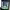 https://res.cloudinary.com/billionhands/image/upload/v1775029170/items/p1dghqxkfiys4frtqrqs.jpg-2cover