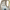https://res.cloudinary.com/billionhands/image/upload/v1775029194/items/dmo0jzgey17gagz4vl9j.png-3cover