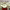 https://res.cloudinary.com/billionhands/image/upload/v1775029195/items/n2xhfdwxpjbwwp27i8ff.jpg-1cover