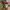 https://res.cloudinary.com/billionhands/image/upload/v1775029285/items/dvzmp3ut9tcuqbtffmnc.jpg-0cover