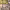 https://res.cloudinary.com/billionhands/image/upload/v1775029297/items/bocsfimhnonmpfoi4oce.jpg-0cover
