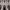 https://res.cloudinary.com/billionhands/image/upload/v1775029300/items/gx82etnivpiskufe7fch.jpg-2cover