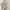 https://res.cloudinary.com/billionhands/image/upload/v1775029301/items/dspqbugvxyq3a6jgaazs.jpg-2cover