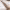 https://res.cloudinary.com/billionhands/image/upload/v1775029636/items/iwezwiht97tmot6iahde.webp-3cover