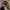 https://res.cloudinary.com/billionhands/image/upload/v1775029677/items/ixmj5tmpughyg4wukh8h.jpg-1cover