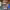 https://res.cloudinary.com/billionhands/image/upload/v1775029786/items/iqzpnq95txzyrvyiiiwk.jpg-1cover