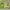 https://res.cloudinary.com/billionhands/image/upload/v1775029805/items/d7d9tpkizvhebjytfxzf.webp-2cover