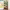 https://res.cloudinary.com/billionhands/image/upload/v1775030289/items/ket6upc0ha4xcmminvef.jpg-3cover