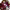 https://res.cloudinary.com/billionhands/image/upload/v1775030525/items/wqhfuebblhiipqhszp3m.webp-0cover