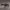 https://res.cloudinary.com/billionhands/image/upload/v1775030720/items/kcq14aaejecef8iarjlm.avif-1cover