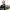 https://res.cloudinary.com/billionhands/image/upload/v1775031001/items/ci3fqphxxhc0j1bjmcg1.png-3cover