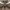 https://res.cloudinary.com/billionhands/image/upload/v1775031684/items/zfkull816cjzoewpmr72.avif-2cover
