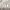 https://res.cloudinary.com/billionhands/image/upload/v1775031685/items/zgf30vvlpwlse4cpdegf.webp-0cover