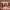 https://res.cloudinary.com/billionhands/image/upload/v1775031687/items/i6ul6f3xfcqdj9gbmyfw.png-2cover