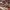 https://res.cloudinary.com/billionhands/image/upload/v1775031688/items/rradhvz1xioo7kbtwfoj.png-3cover