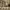 https://res.cloudinary.com/billionhands/image/upload/v1775031690/items/utch8ulsfnv5bcdfrrqn.jpg-2cover