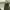 https://res.cloudinary.com/billionhands/image/upload/v1775032139/items/snksbkkbnbtcliharu8h.webp-3cover
