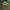 https://res.cloudinary.com/billionhands/image/upload/v1775032595/items/xrlojuojx03k0kys98zc.gif-2cover