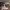 https://res.cloudinary.com/billionhands/image/upload/v1775032608/items/mwhoxfxq9aagjlia26vh.jpg-3cover