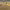 https://res.cloudinary.com/billionhands/image/upload/v1775033775/items/hr2dogzdawtn5qxilh4z.jpg-0cover