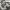 https://res.cloudinary.com/billionhands/image/upload/v1775033906/items/ney2fzaphoisjlvqefkv.webp-3cover