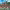 https://res.cloudinary.com/billionhands/image/upload/v1775034109/items/c9kk2wukpjcxpglktbhf.jpg-0cover