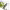 https://res.cloudinary.com/billionhands/image/upload/v1775034389/items/pr2ch9gyxjwkwu9xx7qj.webp-1cover