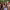 https://res.cloudinary.com/billionhands/image/upload/v1775034672/items/bgxp2xhrm0ppshvttmol.webp-2cover