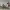 https://res.cloudinary.com/billionhands/image/upload/v1775034677/items/ero6uxkmshri1ggt5jds.jpg-3cover