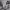 https://res.cloudinary.com/billionhands/image/upload/v1775034677/items/zfidxrhhwjfafqeotw9k.jpg-2cover