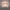 https://res.cloudinary.com/billionhands/image/upload/v1775034799/items/a5vqqhszc9kta4aw2zco.jpg-1cover