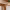 Lemsiwood solid oak dining table | NordicStory (Oak.Store) cover